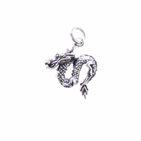 Dragon silver pendant